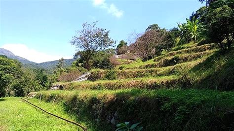 造生基費用|客家大院官網